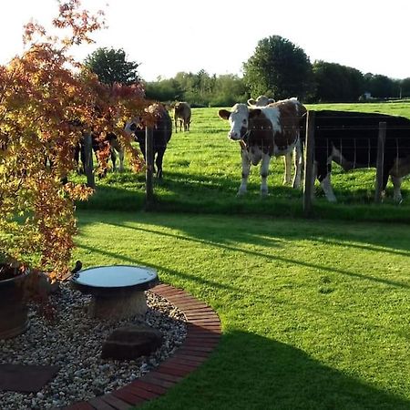 Courtyard Cottage Локърби Екстериор снимка