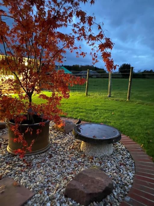 Courtyard Cottage Локърби Екстериор снимка