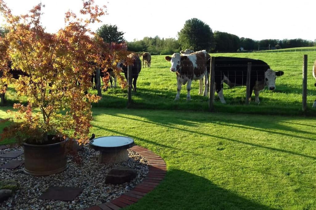 Courtyard Cottage Локърби Екстериор снимка